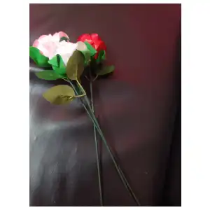 Rosas de zaten perzonalizadas miniatura 2